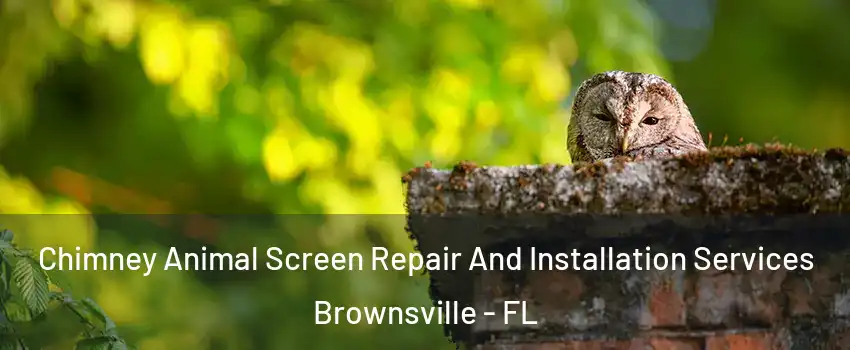  Chimney Animal Screen Repair And Installation Services Brownsville - FL