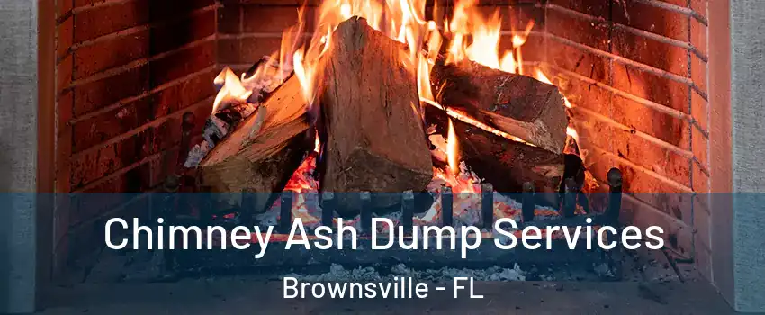 Chimney Ash Dump Services Brownsville - FL