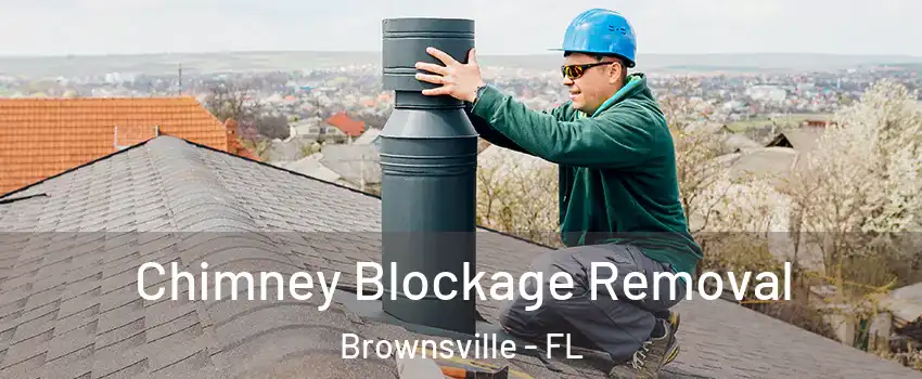  Chimney Blockage Removal Brownsville - FL