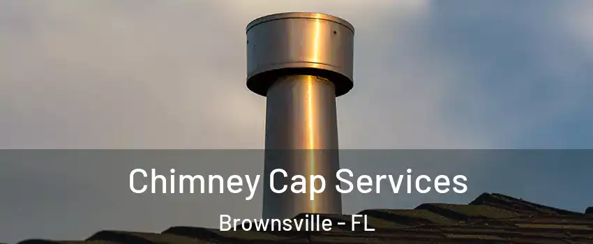 Chimney Cap Services Brownsville - FL