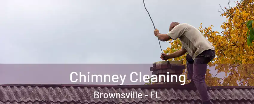  Chimney Cleaning Brownsville - FL