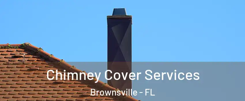  Chimney Cover Services Brownsville - FL