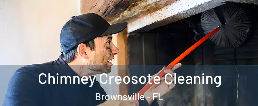  Chimney Creosote Cleaning Brownsville - FL