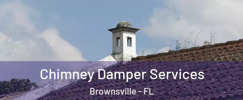  Chimney Damper Services Brownsville - FL