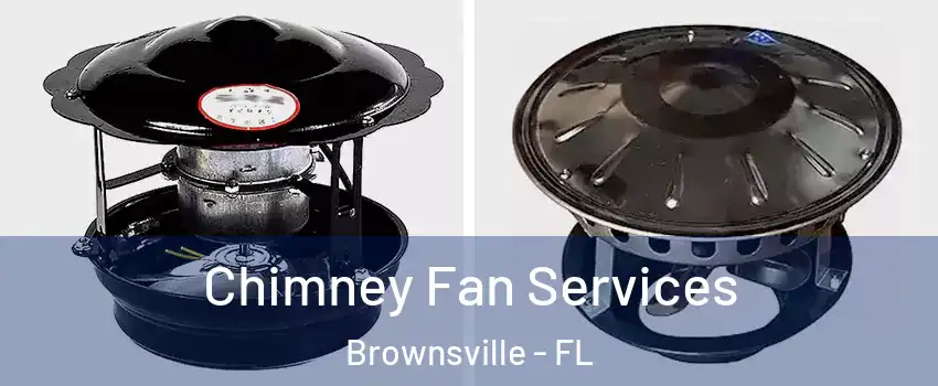  Chimney Fan Services Brownsville - FL