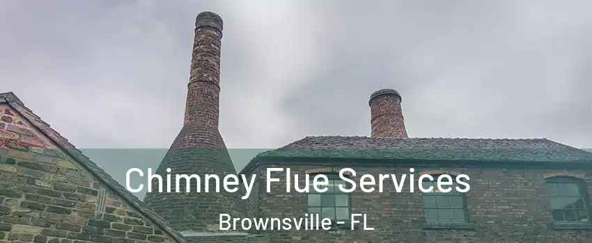  Chimney Flue Services Brownsville - FL