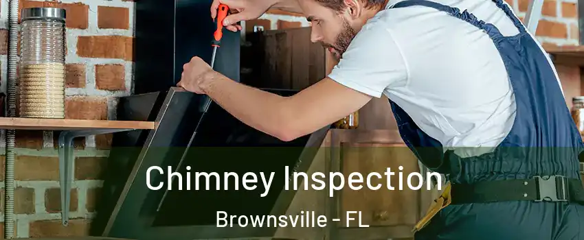  Chimney Inspection Brownsville - FL