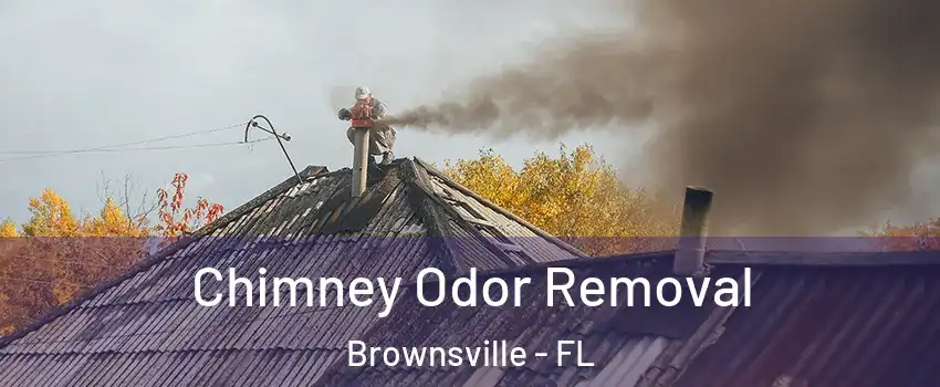  Chimney Odor Removal Brownsville - FL