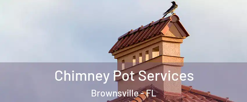  Chimney Pot Services Brownsville - FL