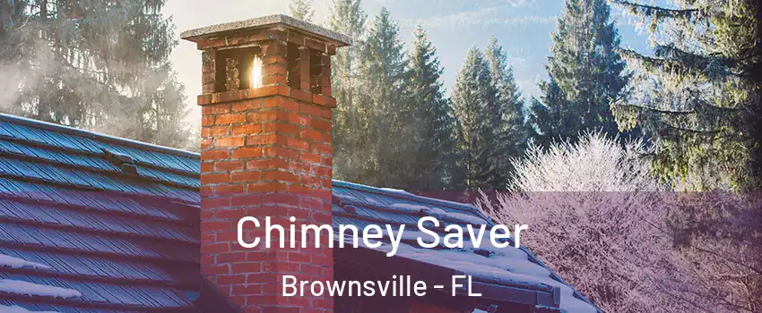  Chimney Saver Brownsville - FL