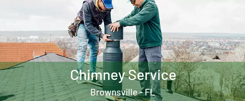 Chimney Service Brownsville - FL