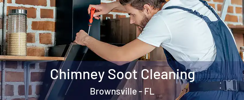  Chimney Soot Cleaning Brownsville - FL