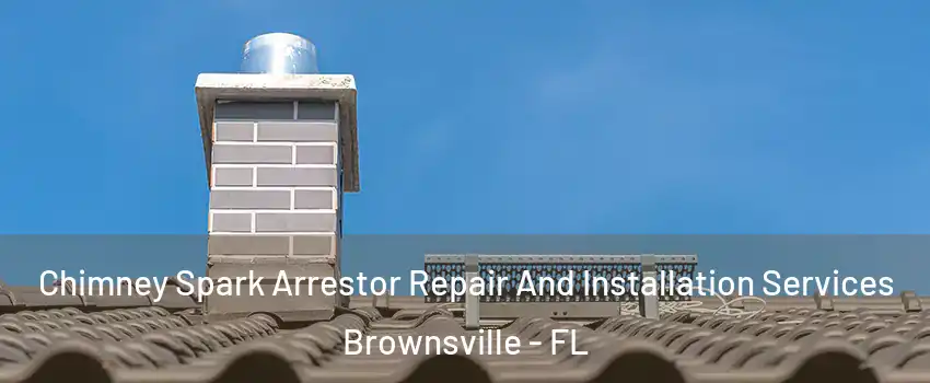  Chimney Spark Arrestor Repair And Installation Services Brownsville - FL