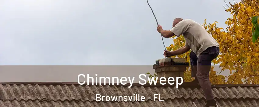  Chimney Sweep Brownsville - FL