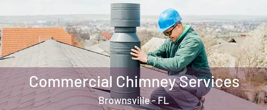  Commercial Chimney Services Brownsville - FL