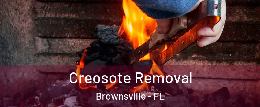  Creosote Removal Brownsville - FL