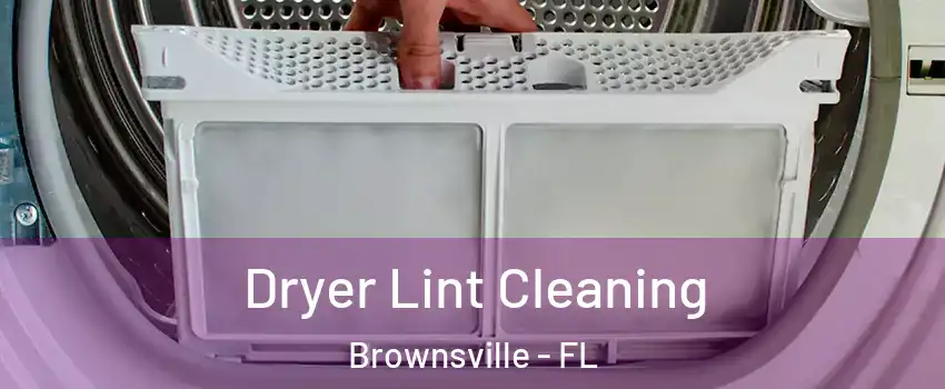  Dryer Lint Cleaning Brownsville - FL