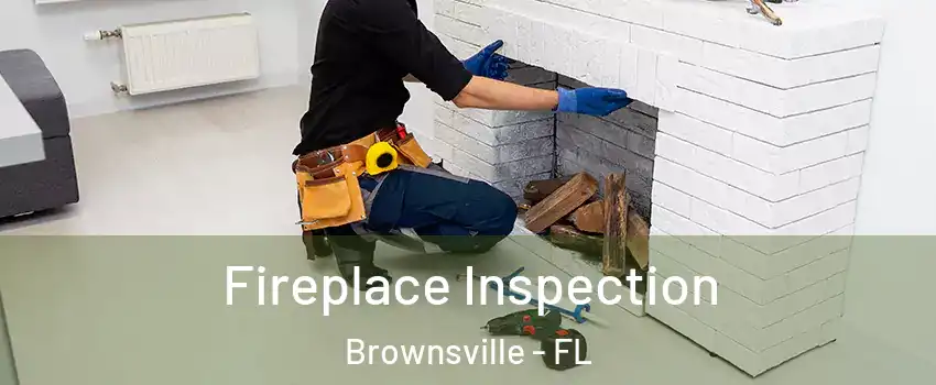 Fireplace Inspection Brownsville - FL