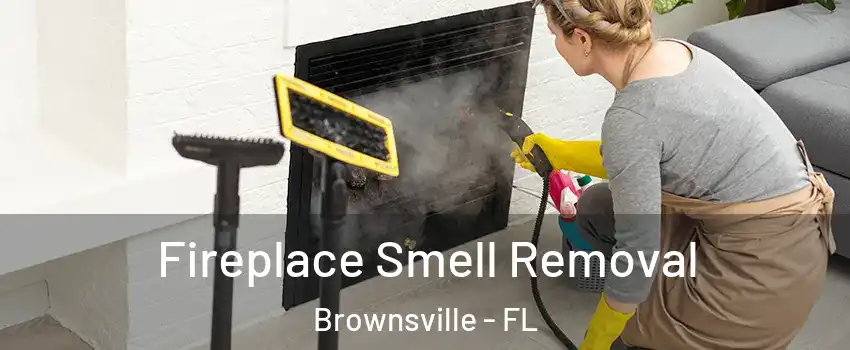  Fireplace Smell Removal Brownsville - FL