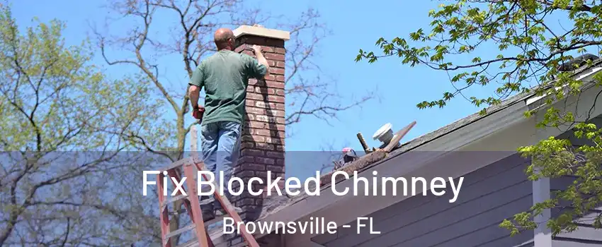  Fix Blocked Chimney Brownsville - FL