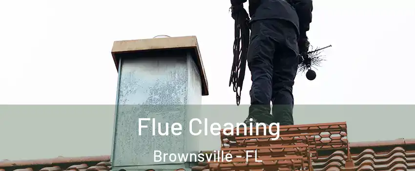  Flue Cleaning Brownsville - FL