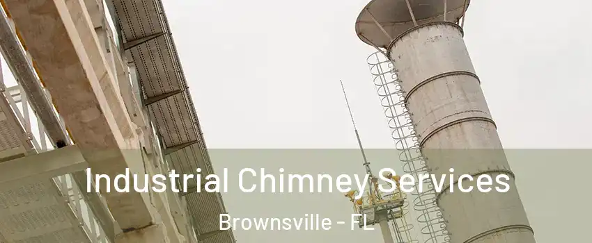  Industrial Chimney Services Brownsville - FL