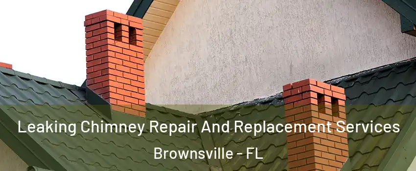 Leaking Chimney Repair And Replacement Services Brownsville - FL